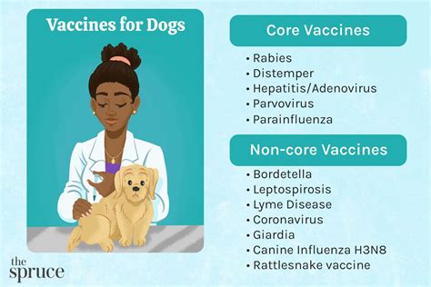 Importance of Rabies Vaccination for Dogs