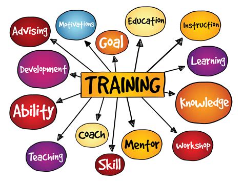 Importance of Training Courses