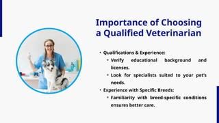 Importance of a Qualified Veterinarian