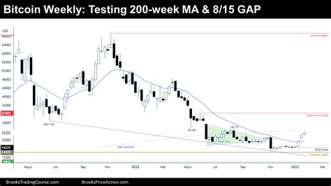 Importance of the BTC 200 Week MA