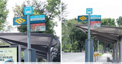 Importance of the MacRitchie Bus Stop