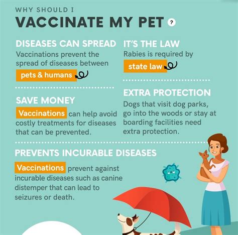 Important Side Effects of the Leptospirosis Vaccine for Dogs