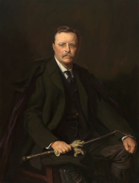 Impressions of Theodore Roosevelt... PDF