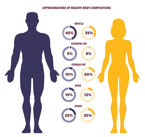 Improved Body Composition: