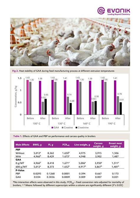 Improved Broiler Performance: