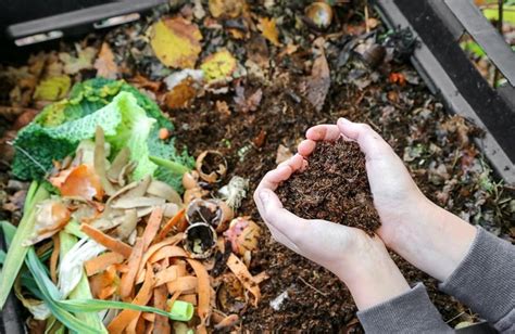 Improved Compost Quality: