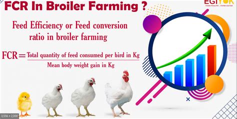 Improved Feed Conversion Ratio (FCR):