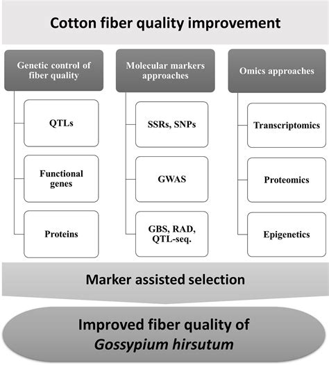 Improved Fiber Quality: