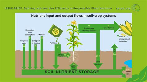 Improved Nutrient Efficiency: