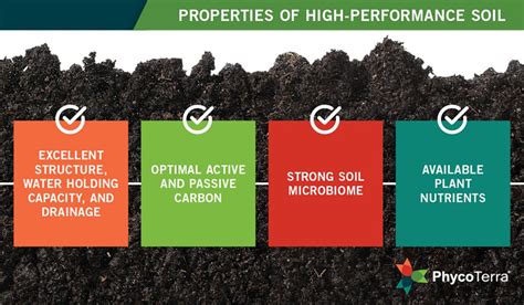 Improved Soil Structure and Water Retention: