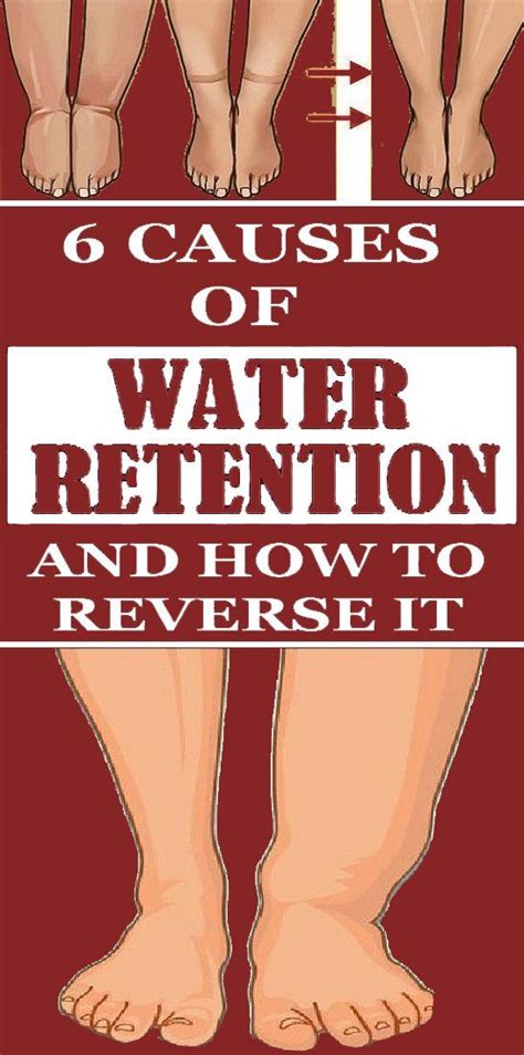 Improved Water Retention: