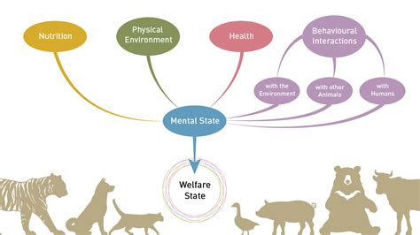 Improved animal welfare: