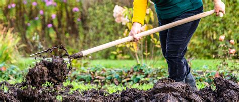 Improved manure quality: