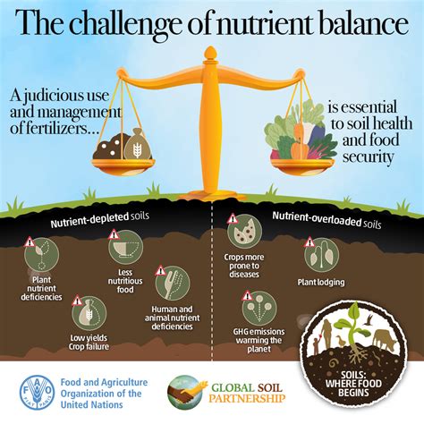 Improved nutrient distribution: