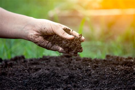 Improved soil quality: