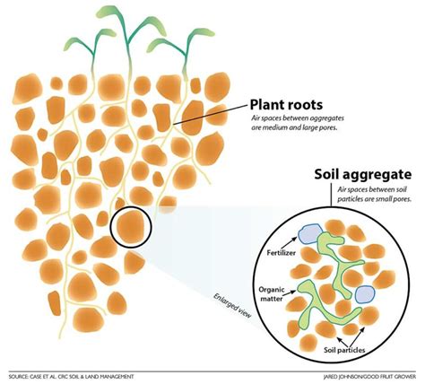 Improved soil structure