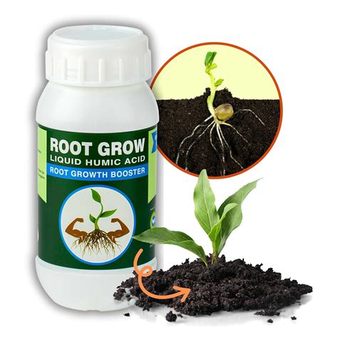 Improves Root Growth: