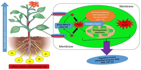 Improving Crop Resistance to Abiotic Stress PDF