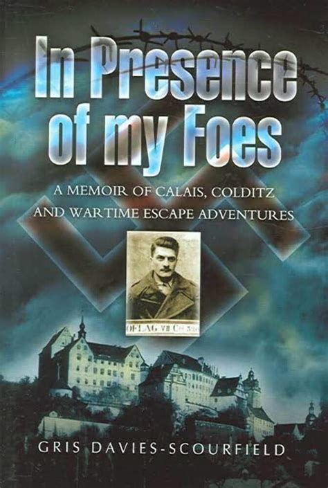 In Presence of My Foes From Calais to Colditz via the Polish Underground - The Travels and Travails Doc