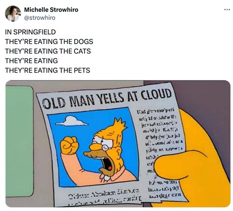 In Springfield, They're Eating the Dogs: The NFL Meme that's Gone Viral