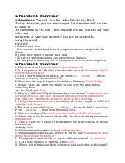 In The Womb Activity Sheet Answers Epub