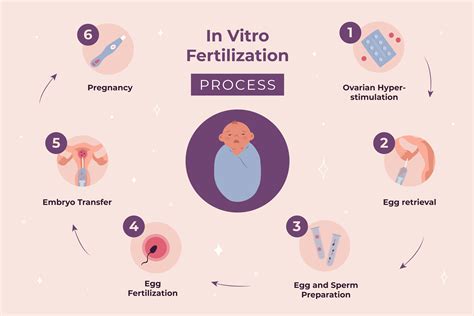 In Vitro Fertilization (IVF)