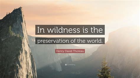 In Wildness Is the Preservation of the World Doc