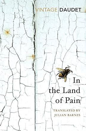 In the Land of Pain Vintage Classics Reader