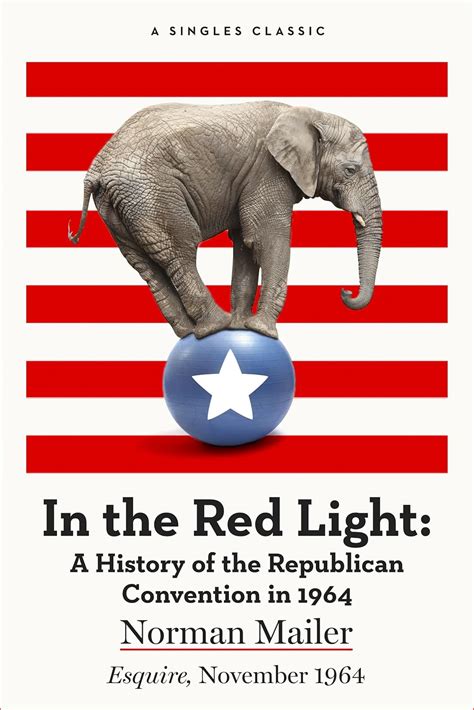 In the Red Light A History of the Republican Convention in 1964 Doc