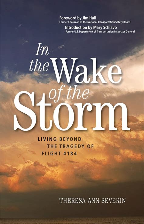 In the Wake of the Storm Living Beyond the Tragedy of American Eagle Flight 4184 Enhanced Digital Edition Kindle Editon