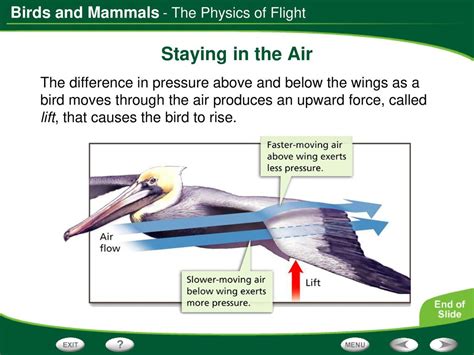 In the Wings of Physics Kindle Editon