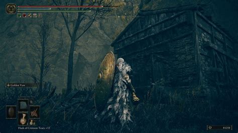 Inappropriate Activity Detected: Elden Ring DLC Sparks Controversy