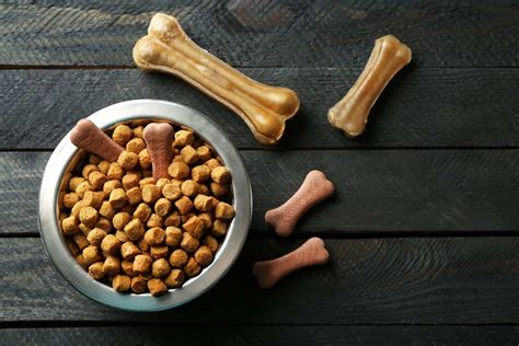 Inception Dog Food Recalls: Safeguarding Canine Health