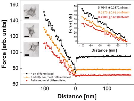 Inches to Miles: Unveiling the True Magnitude of the Microscopic