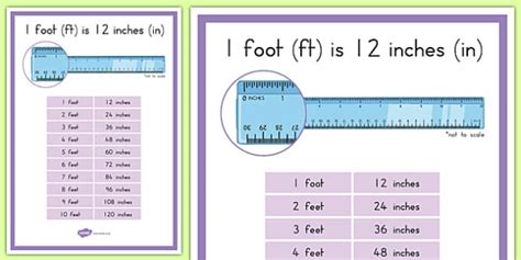 Inches vs. Feet: A Basic Understanding