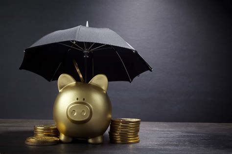 Income Protection: Your Lifeline to Financial Security