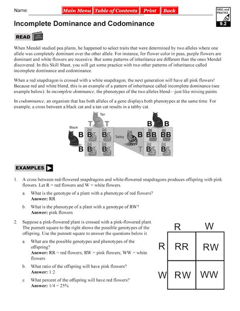 Incomplete Dominance And Codominance Answer Key Biology Doc