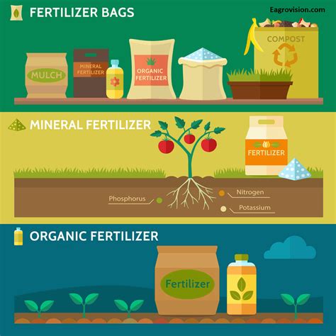 Incomplete Fertilizers: A 3-Step Guide to Understanding 15 Essential Elements