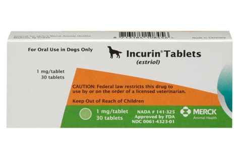 Incontinence Meds for Dogs: 10,000+ Words of In-Depth Research and Solutions