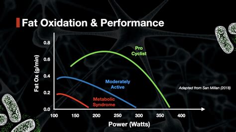 Increase fat oxidation: