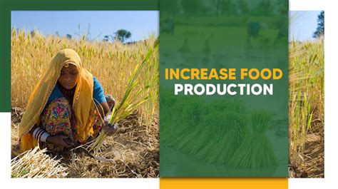 Increase food production: