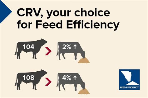 Increased Feed Efficiency: