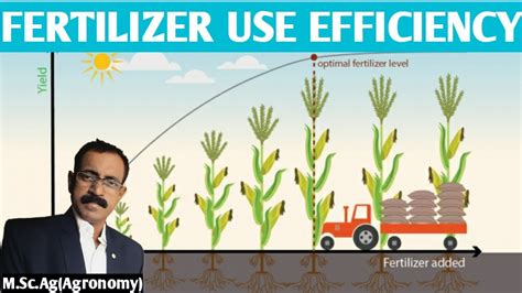 Increased Fertilizer Efficiency: