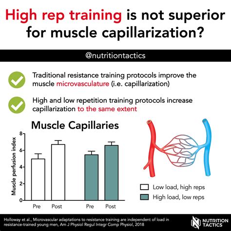 Increased Muscle Capillarization: