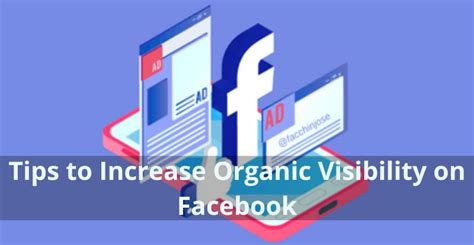 Increased Organic Visibility: