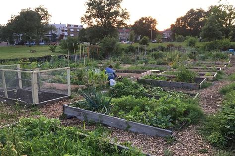 Increased interest in gardening: