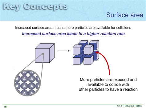 Increased surface area: