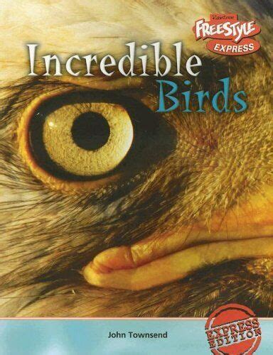 Incredible Birds Incredible Creatures Doc