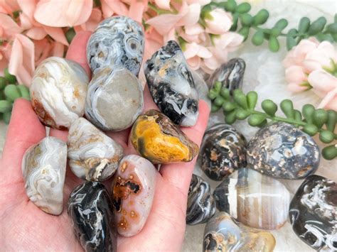 Incredible Geodes and Crystals for Sale: Unlock the Enchanted World of Nature's Treasures