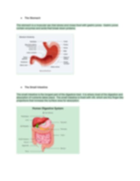 Incredible Journey Of Digestive System Answers Reader